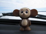 user posted image