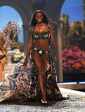 th_08181_fashiongallery_VSShow08_Show-162_122_29lo.jpg