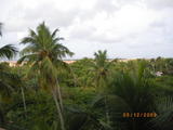 Macnifico Riu palace punta cana  - Blogs de Dominicana Rep. - dia 1 en el paraiso (3)
