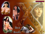 http://img210.imagevenue.com/loc28/th_52547_Best_Boobs_-_Lucy-Lawless-Xena_123_28lo.jpg